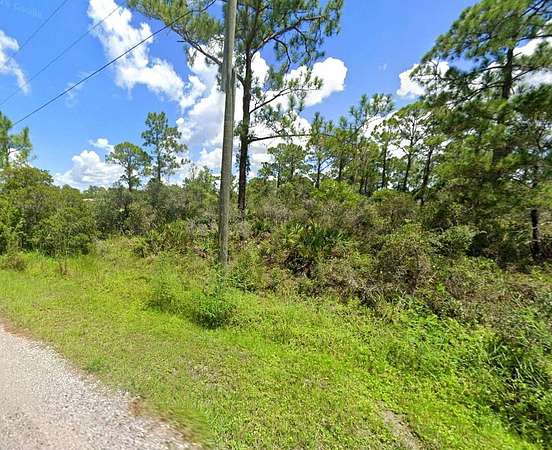 1 Acre of Residential Land for Sale in Sebring, Florida