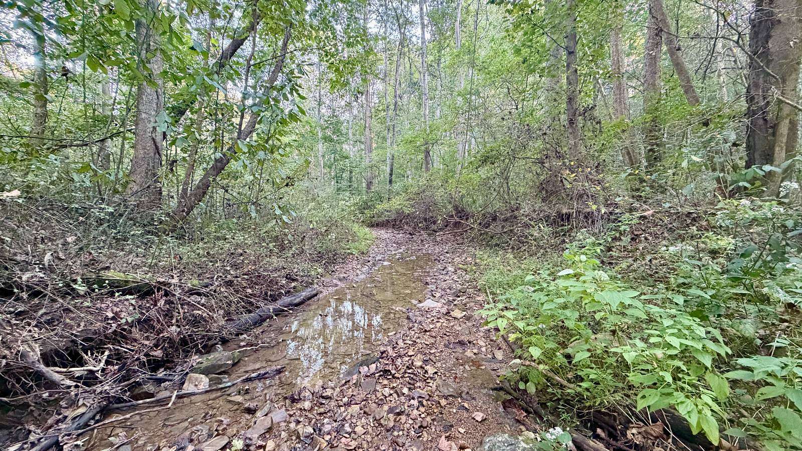 15 Acres of Recreational & Residential Land for Sale in Bainbridge, Ohio