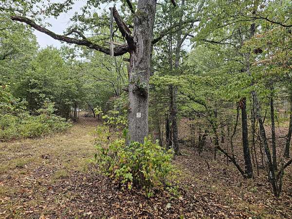 10 Acres of Recreational & Residential Land for Sale in Bradleyville, Missouri
