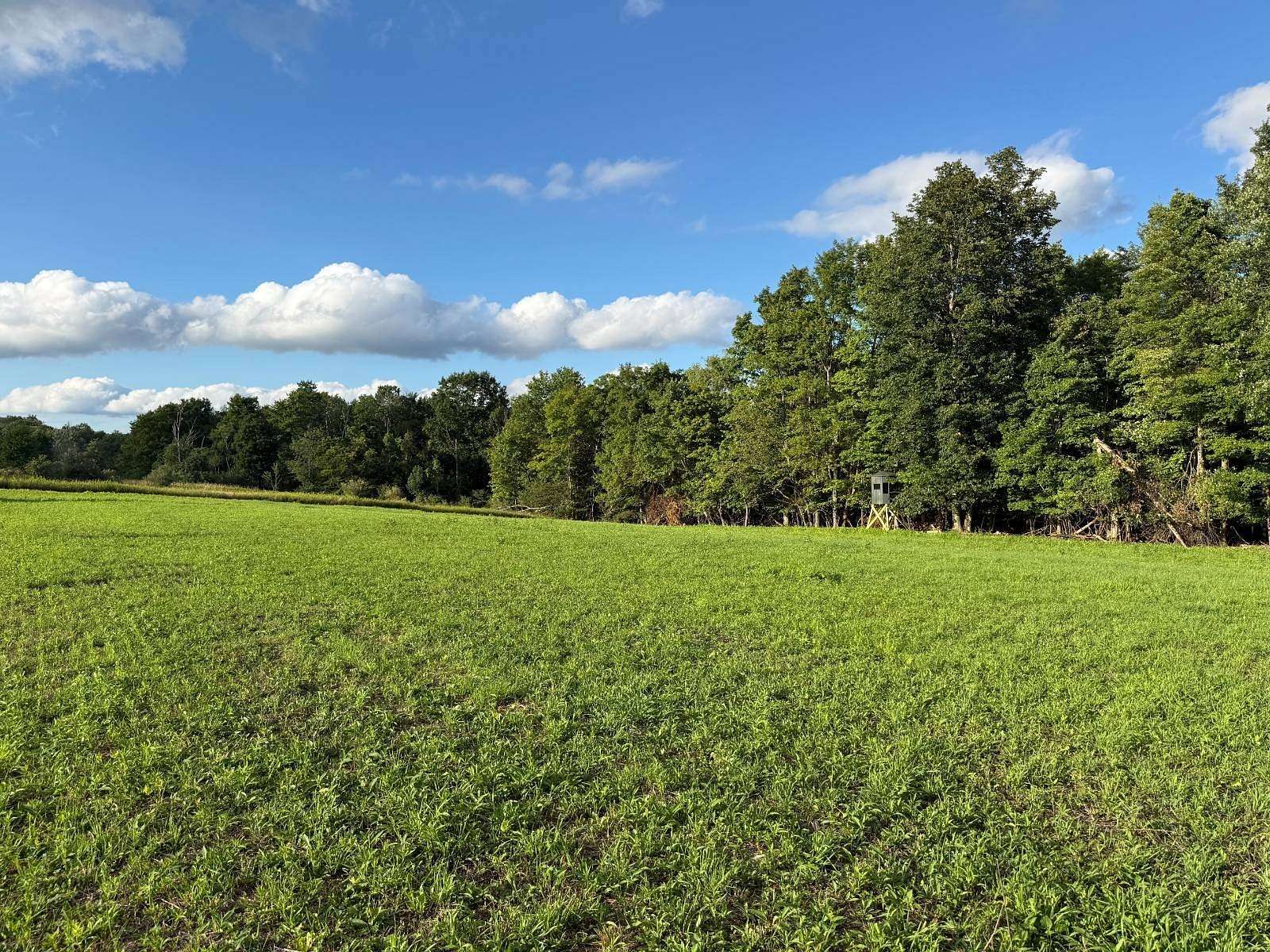 45.9 Acres of Recreational & Residential Land for Sale in Grand Valley, Pennsylvania