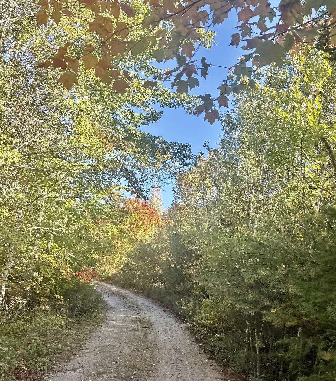 162 Acres of Recreational Land for Sale in Steuben, Maine