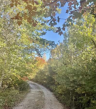 162 Acres of Recreational Land for Sale in Steuben, Maine