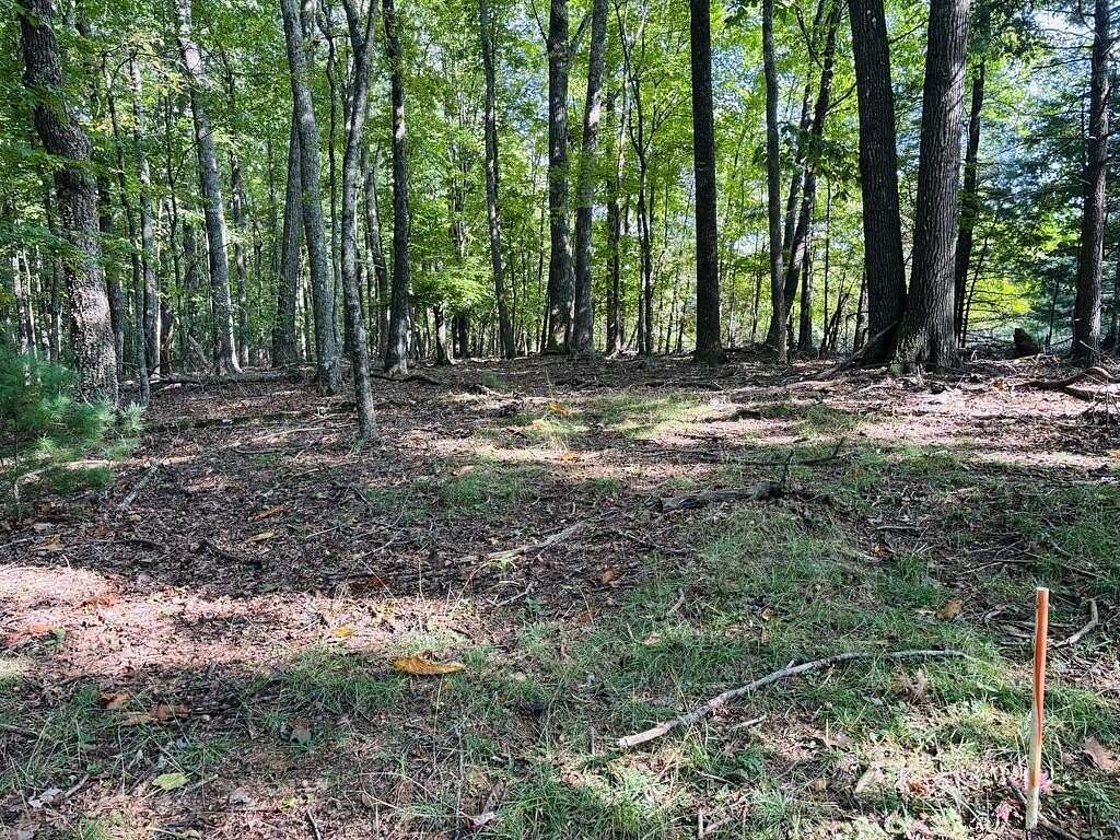 3 Acres of Land for Sale in Woodlawn, Virginia