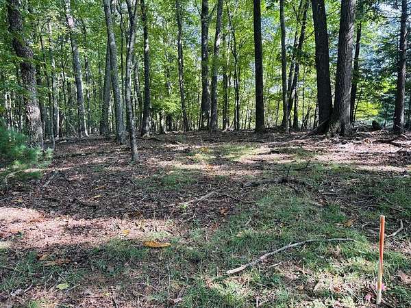 3 Acres of Land for Sale in Woodlawn, Virginia