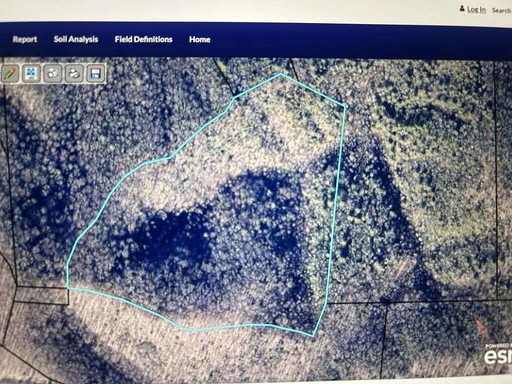 40 Acres of Land for Sale in Mineral Bluff, Georgia