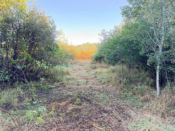 20 Acres of Land for Sale in Chippewa Falls, Wisconsin