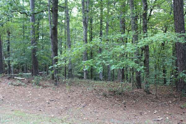 0.98 Acres of Residential Land for Sale in Dadeville, Alabama