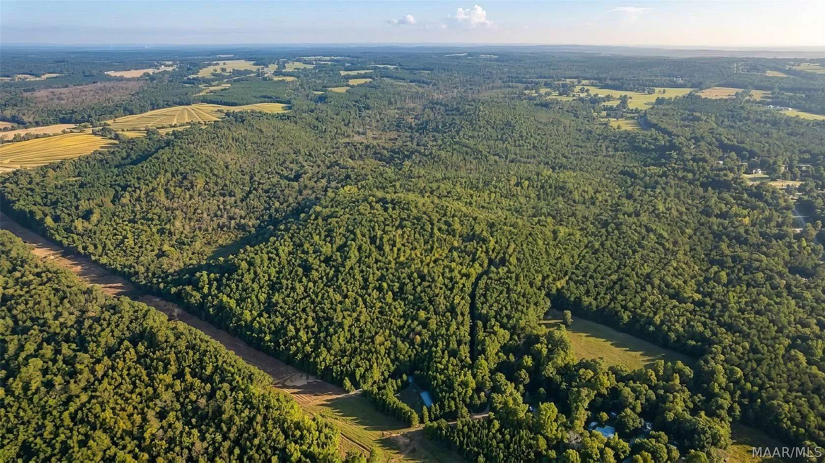 80 Acres of Recreational Land for Sale in Notasulga, Alabama