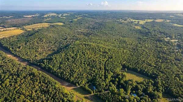 80 Acres of Recreational Land for Sale in Notasulga, Alabama