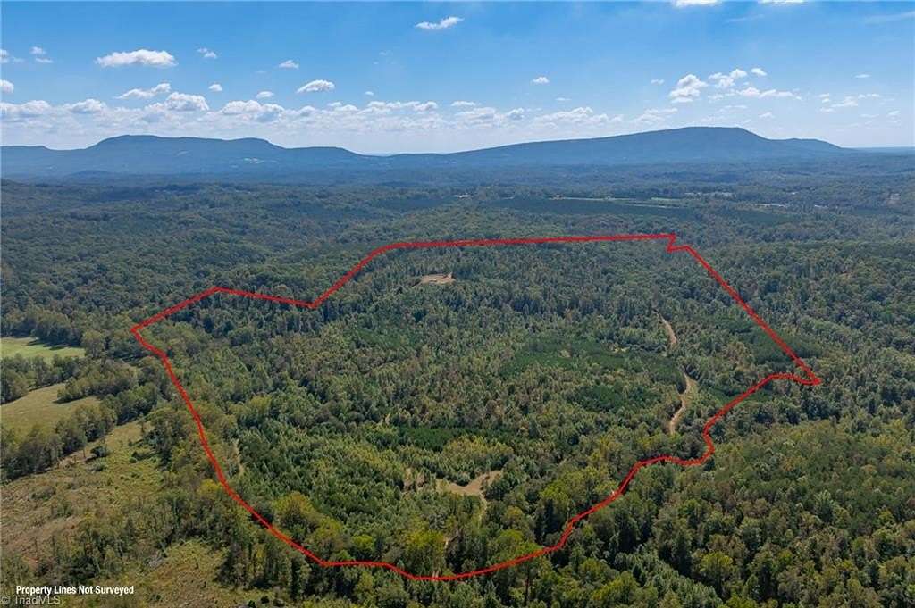 136 Acres of Recreational & Residential Land for Sale in Westfield, North Carolina