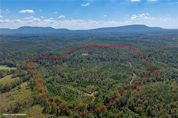 136 Acres of Recreational & Residential Land for Sale in Westfield, North Carolina