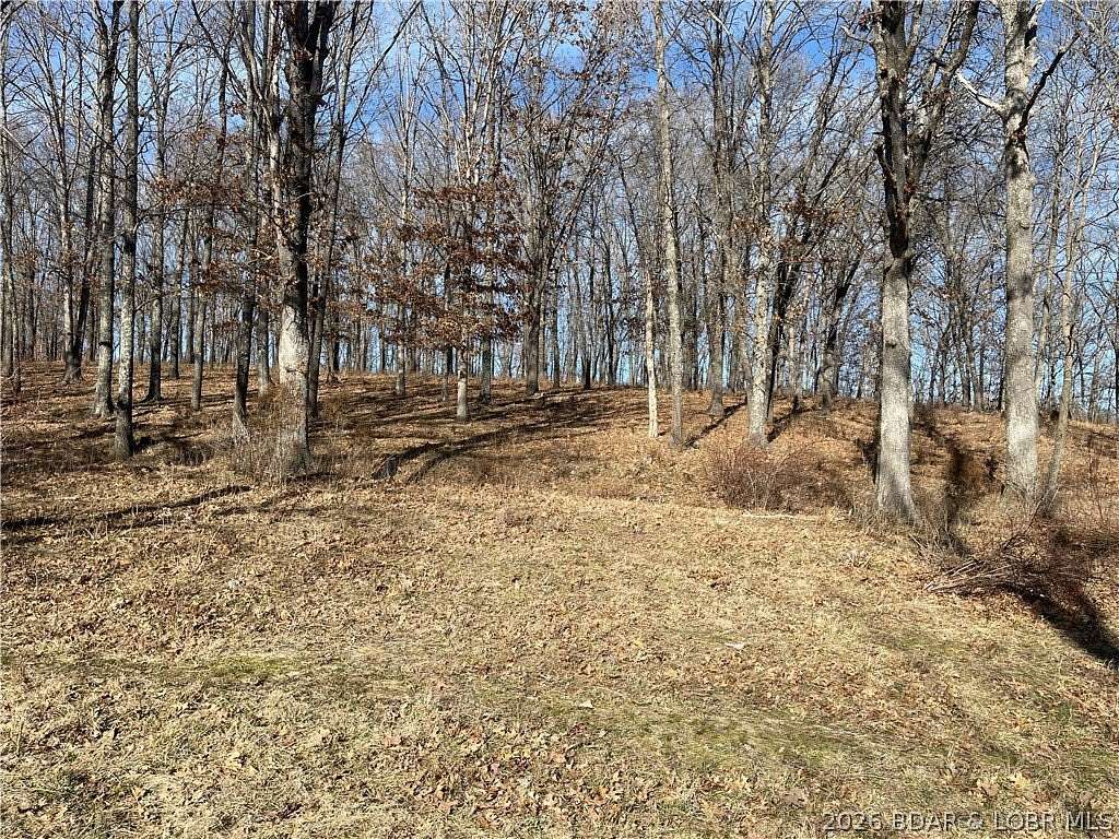 39.5 Acres of Recreational Land for Sale in Preston, Missouri