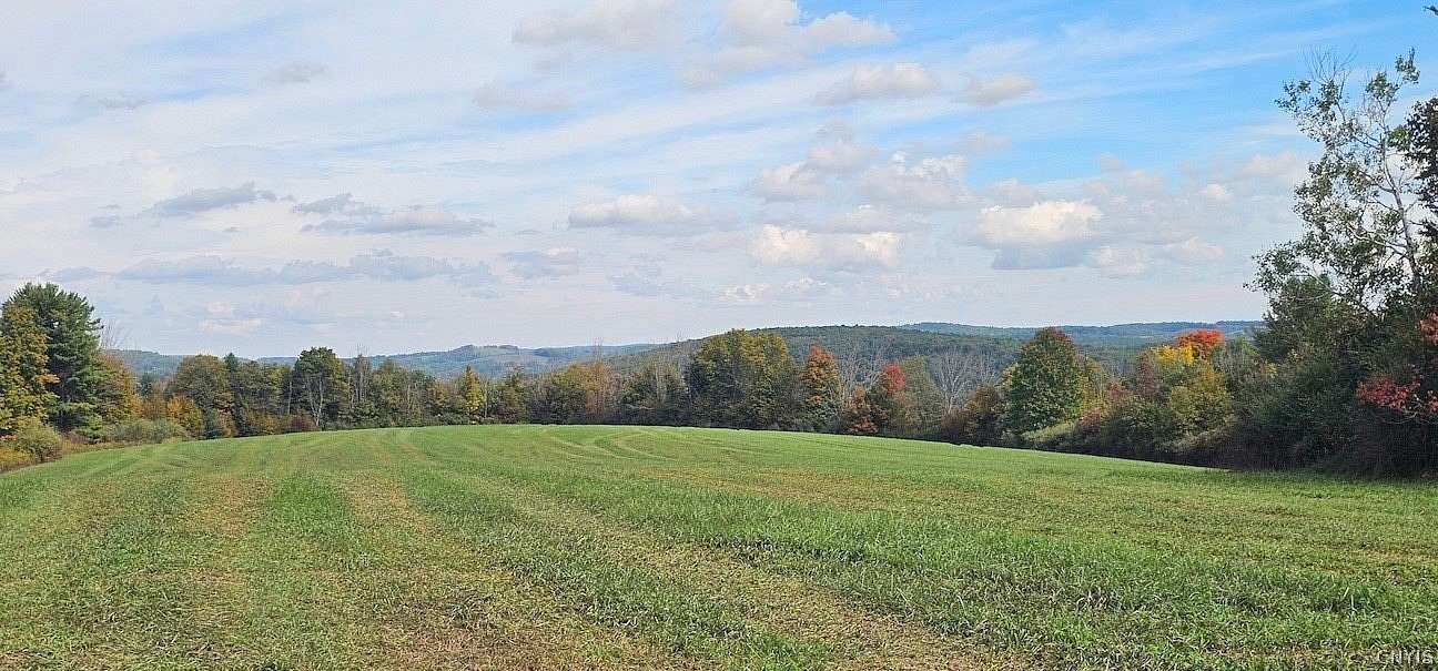 47 Acres of Land for Sale in Rathbone, New York