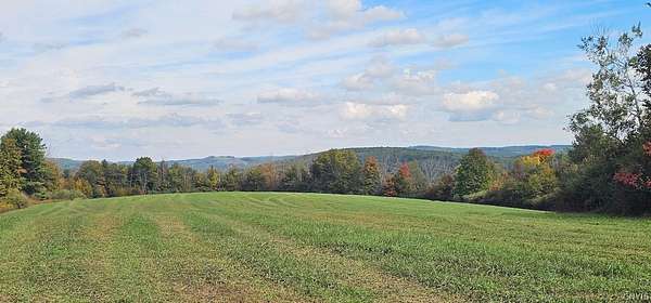 47 Acres of Land for Sale in Rathbone, New York