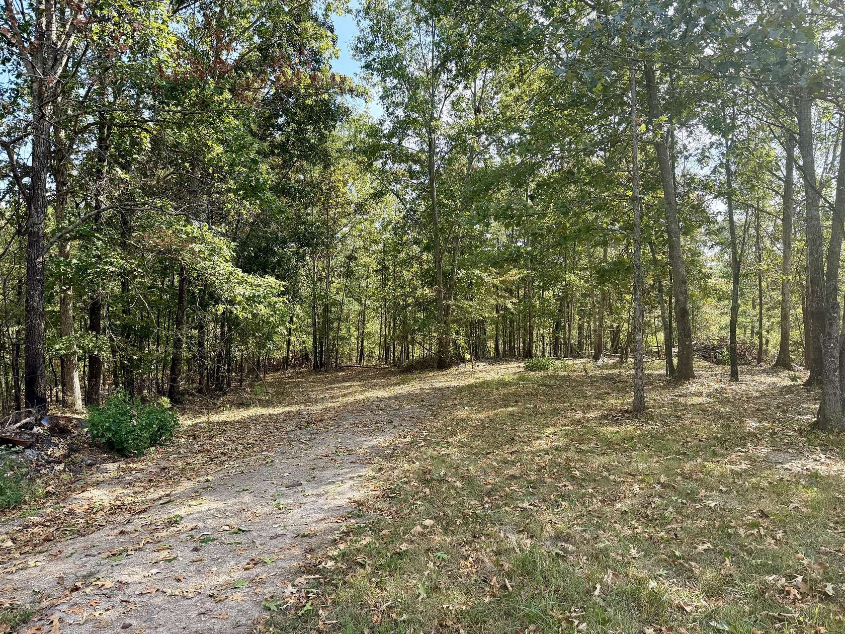 17 Acres of Recreational & Residential Land for Sale in Van Buren, Missouri