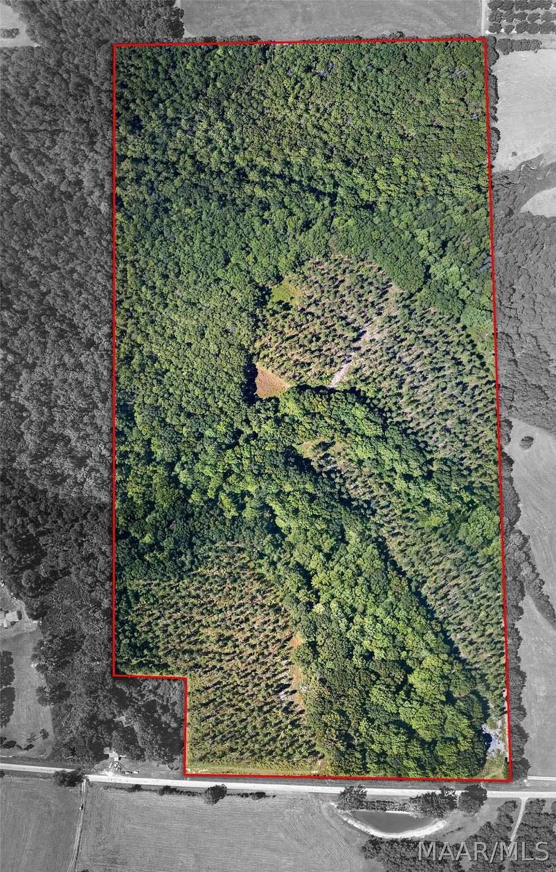 78 Acres of Recreational Land for Sale in Notasulga, Alabama