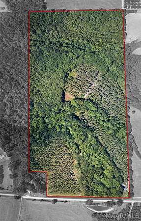 78 Acres of Recreational Land for Sale in Notasulga, Alabama