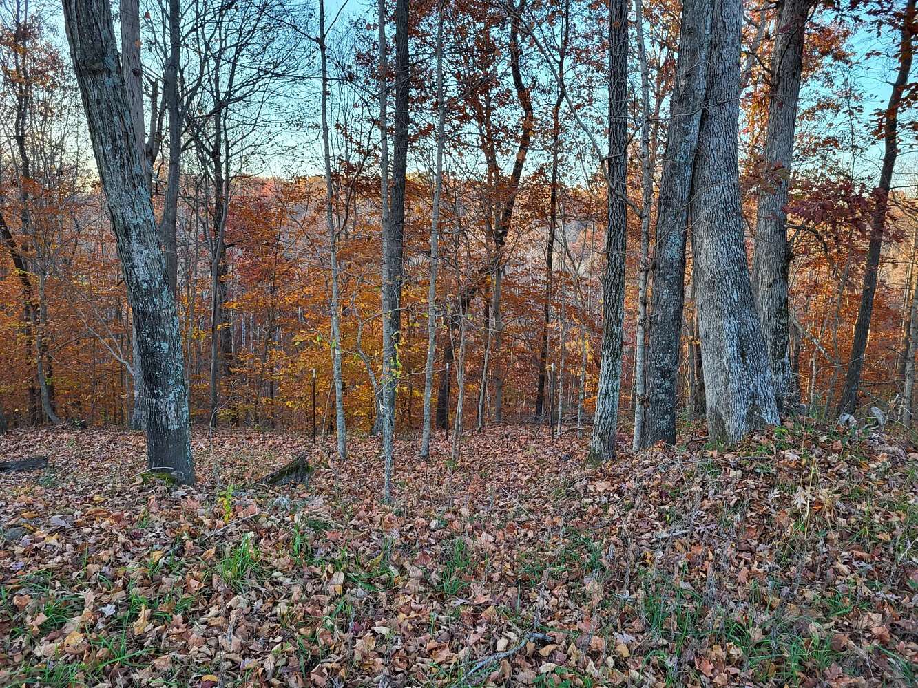 300 Acres of Recreational Land with Home for Sale in Bowling Green, Kentucky