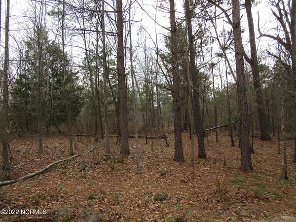 1.86 Acres of Residential Land for Sale in Maxton, North Carolina