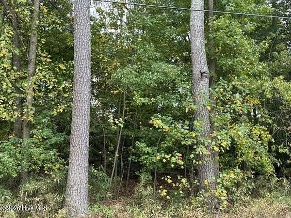 0.34 Acres of Land for Sale in Whispering Pines, North Carolina