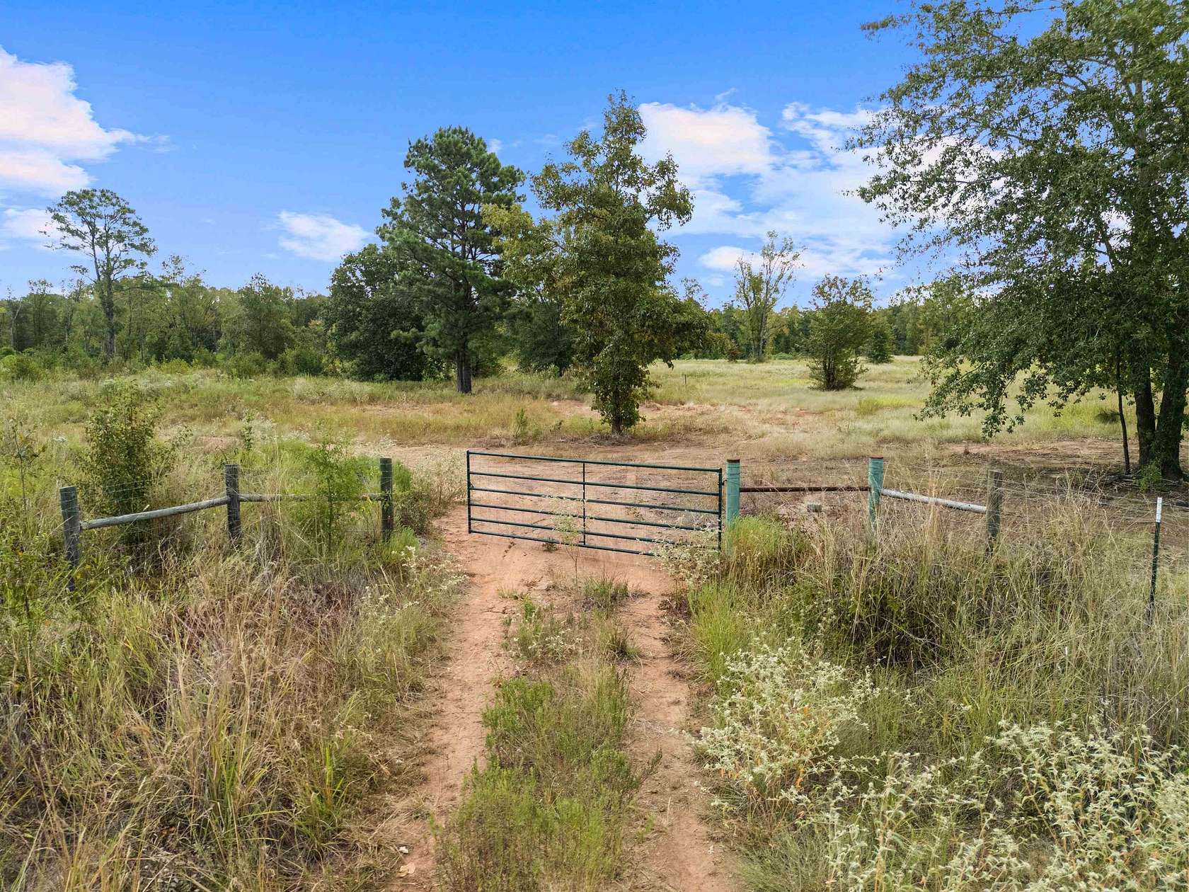 10 Acres of Residential Land for Sale in Kilgore, Texas