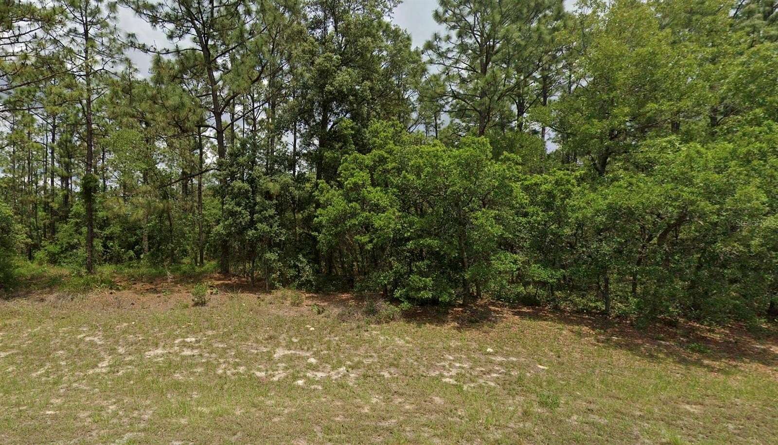 0.61 Acres of Residential Land for Sale in Ocala, Florida