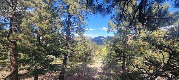 20 Acres of Recreational & Residential Land for Sale in Guffey, Colorado