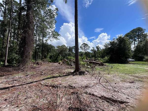 0.23 Acres of Residential Land for Sale in Georgetown, Florida