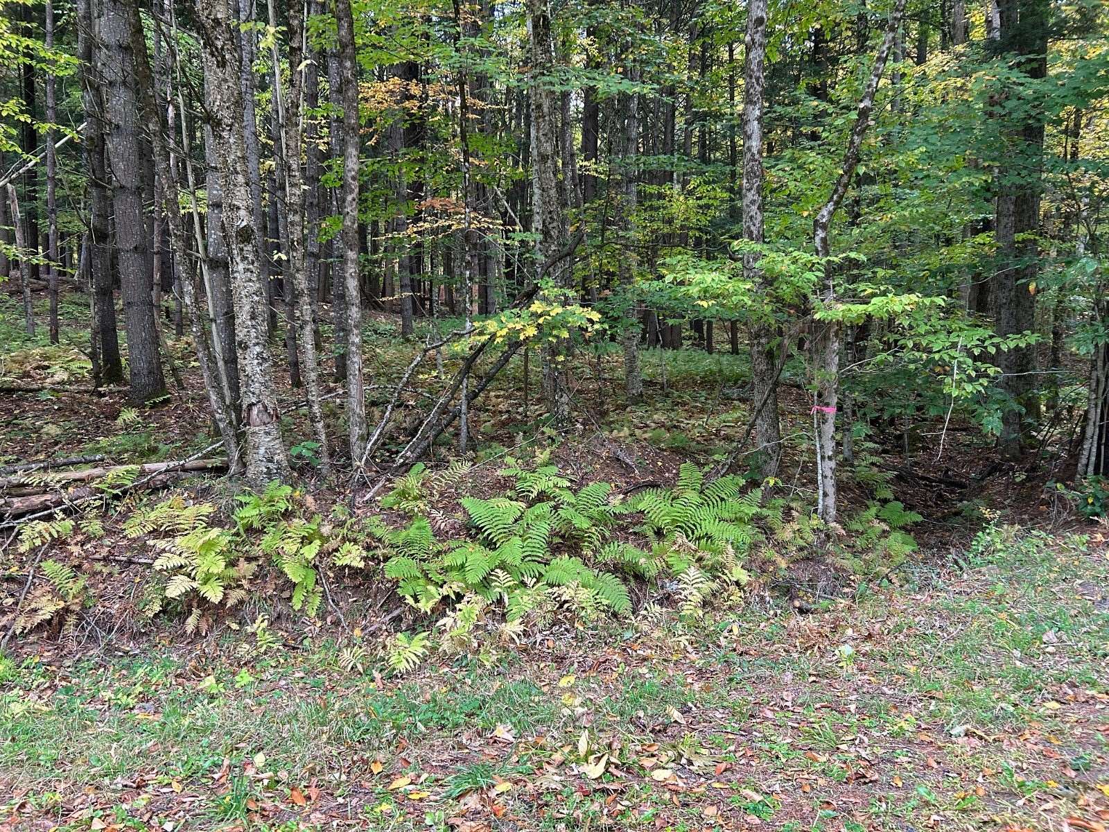 1 Acre of Land for Sale in Northville, New York