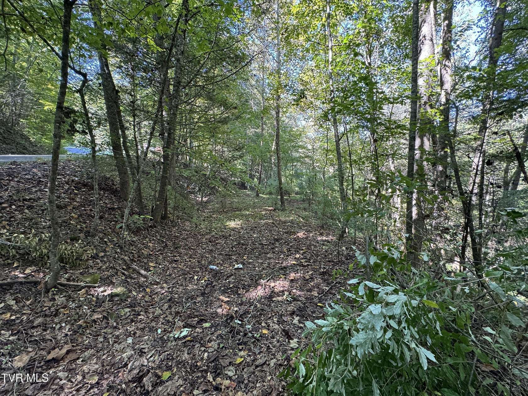 7 Acres of Residential Land for Sale in Clintwood, Virginia