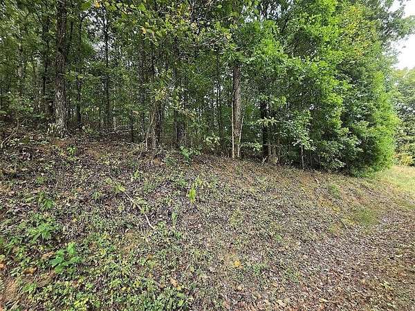 3.54 Acres of Residential Land for Sale in Adairsville, Georgia
