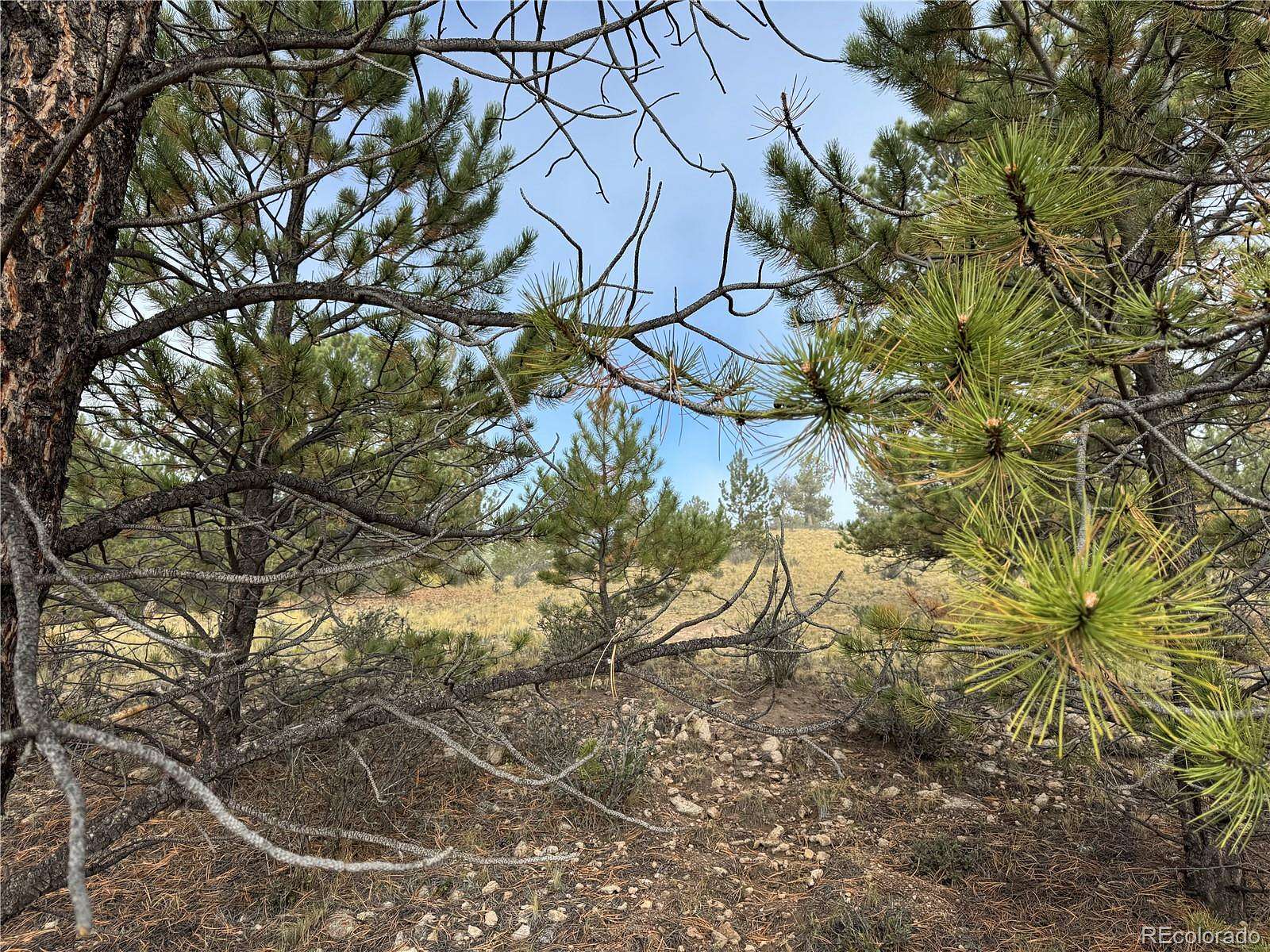 3.24 Acres of Residential Land for Sale in Hartsel, Colorado