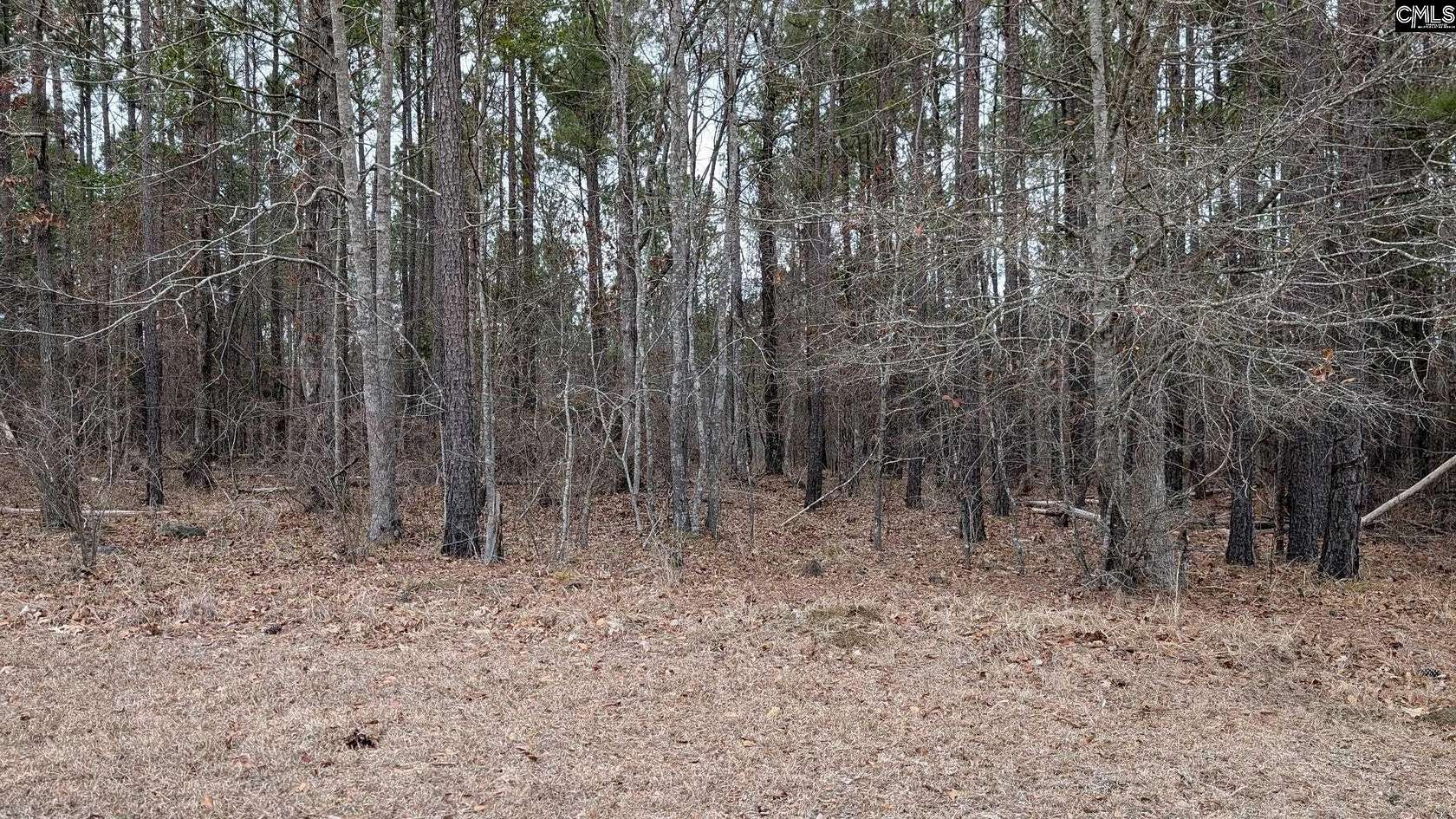 2 Acres of Land for Sale in Ridgeway, South Carolina
