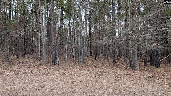 2 Acres of Land for Sale in Ridgeway, South Carolina