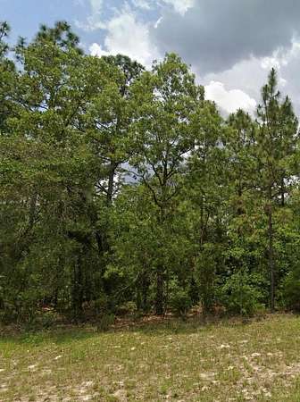 0.83 Acres of Residential Land for Sale in Ocala, Florida