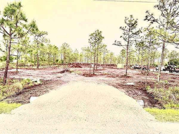 5 Acres of Residential Land for Sale in Punta Gorda, Florida