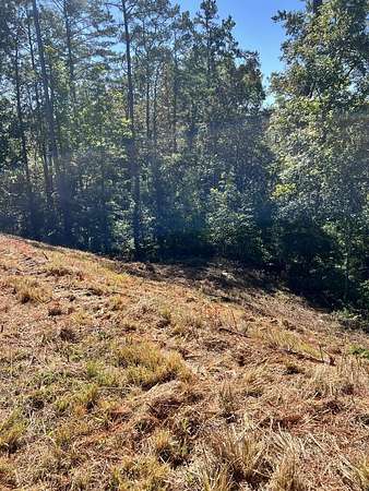 3.49 Acres of Residential Land for Sale in Ellijay, Georgia