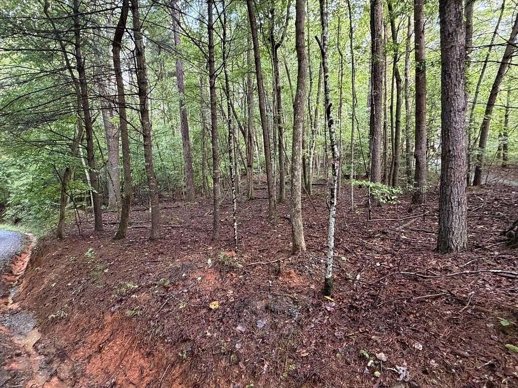 0.95 Acres of Residential Land for Sale in Ellijay, Georgia