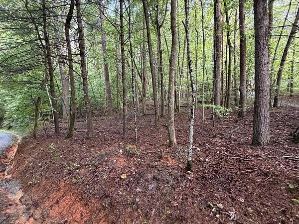 0.95 Acres of Residential Land for Sale in Ellijay, Georgia