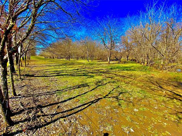 8.7 Acres of Land for Sale in Alvarado, Texas