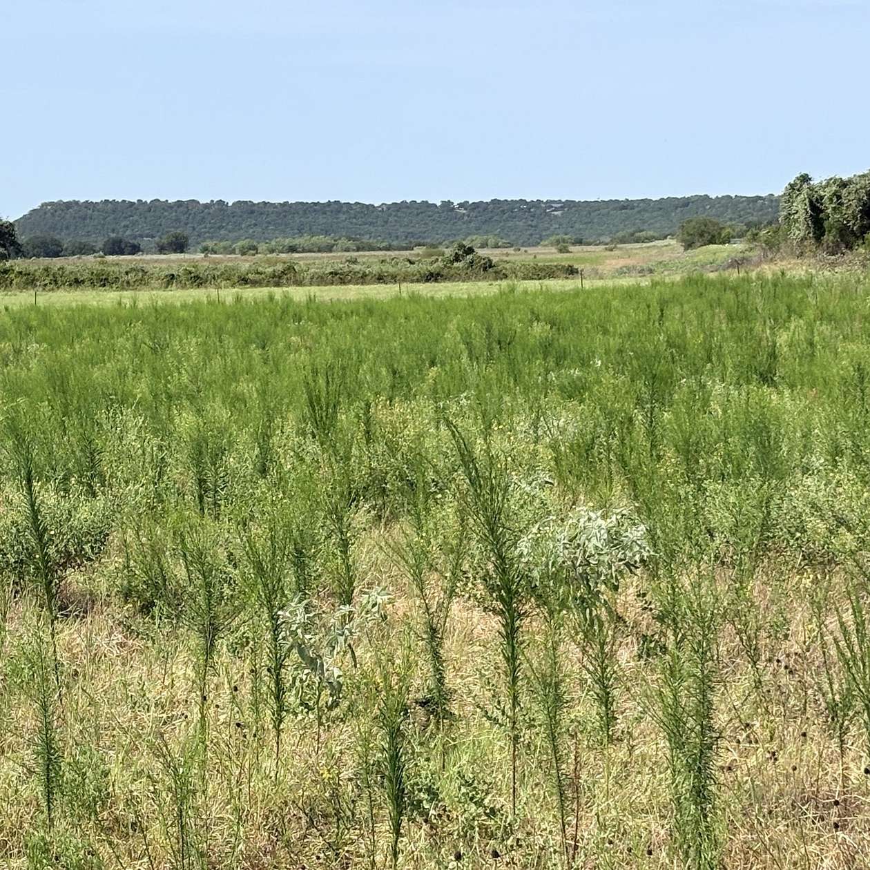 26.3 Acres of Land for Sale in Mineral Wells, Texas