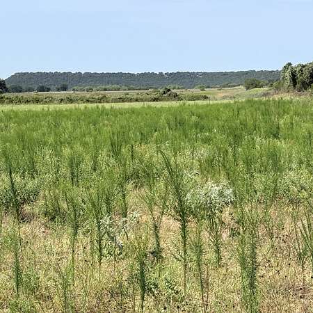 26.3 Acres of Land for Sale in Mineral Wells, Texas