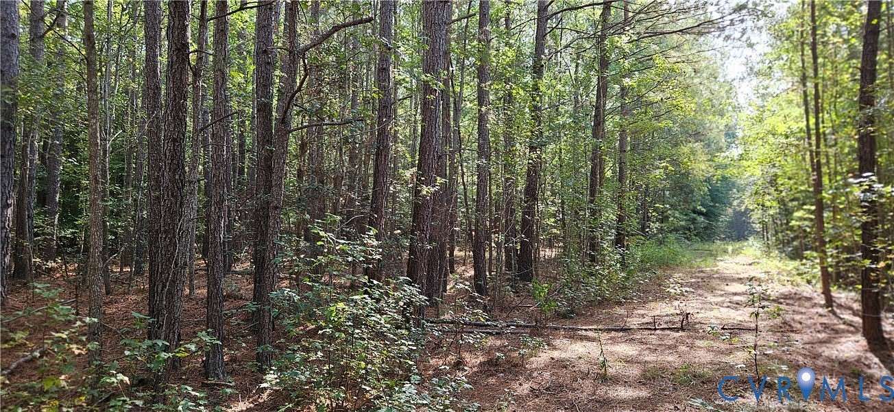 16.1 Acres of Recreational Land for Sale in Manquin, Virginia