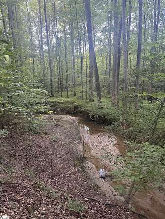 10.6 Acres of Recreational & Residential Land for Sale in Honea Path, South Carolina