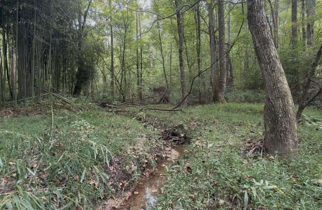 0.91 Acres of Residential Land for Sale in Ellijay, Georgia