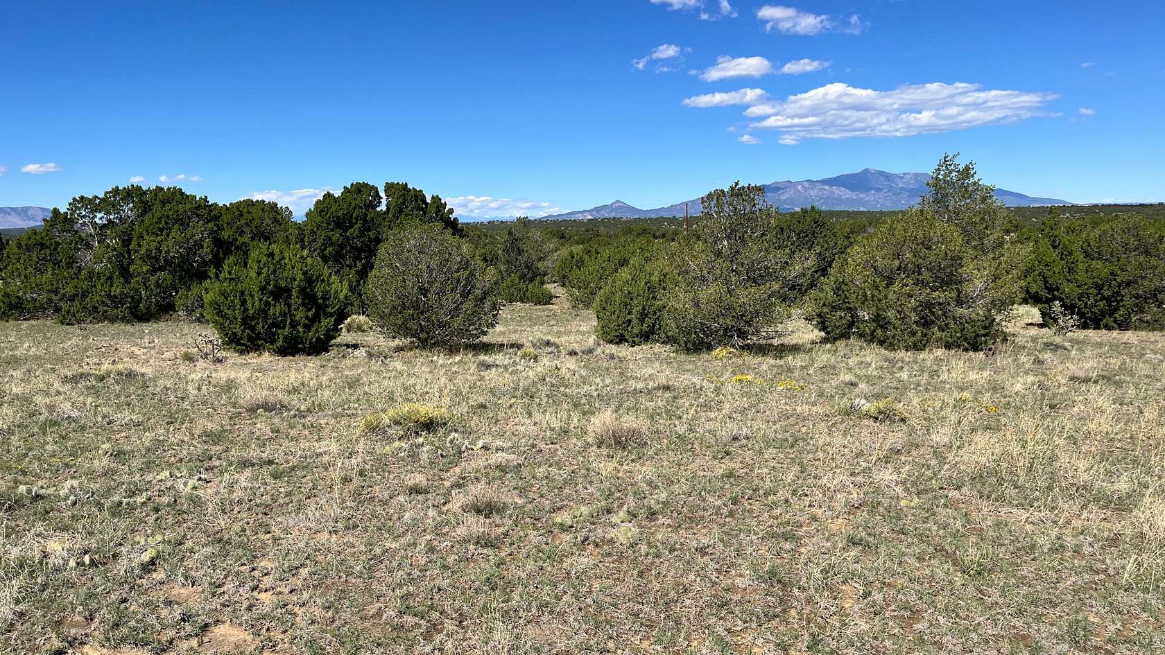 35.1 Acres of Recreational Land for Sale in Walsenburg, Colorado