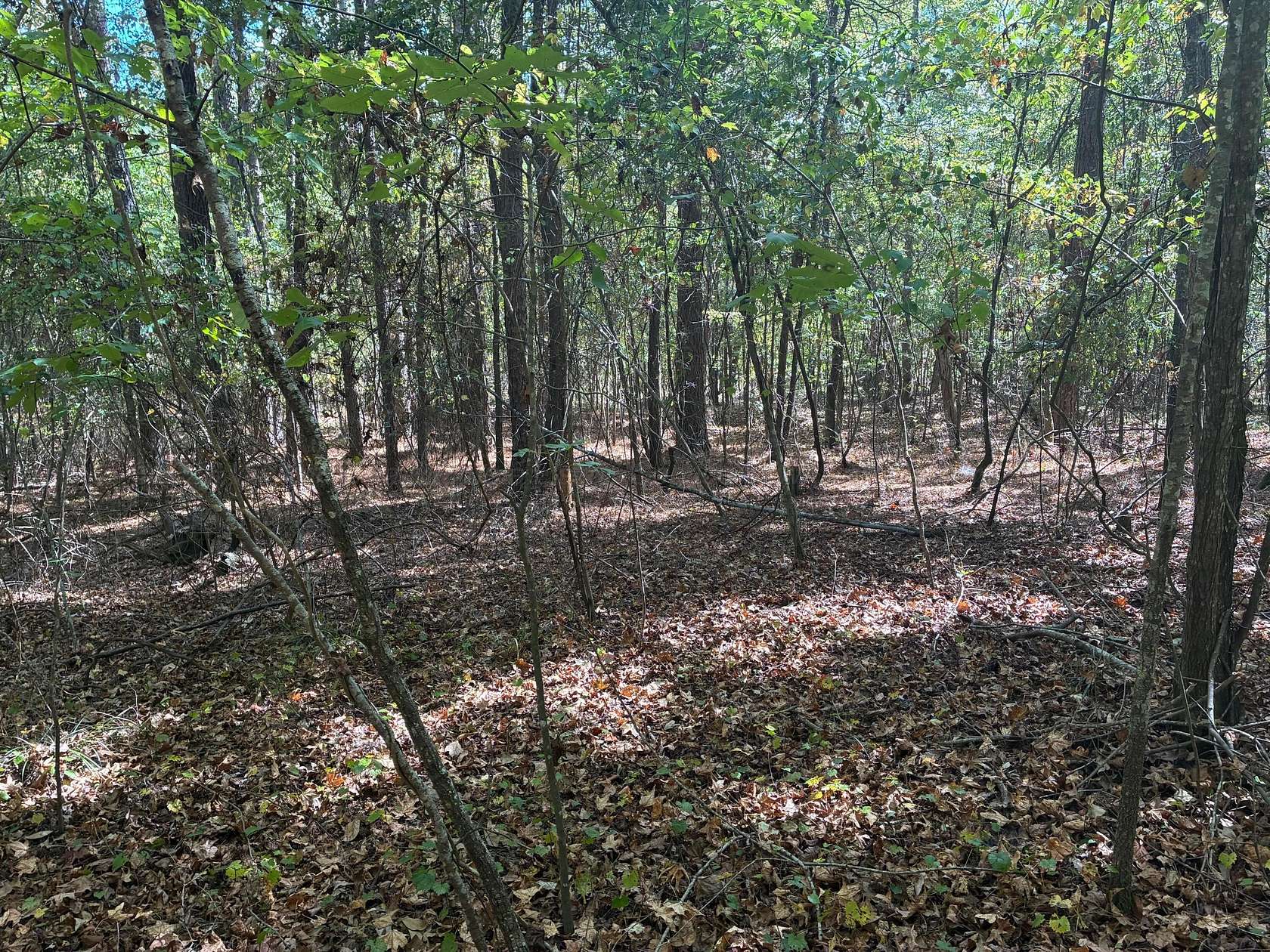 1.16 Acres of Residential Land for Sale in Double Springs, Alabama
