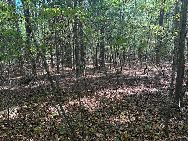 1.16 Acres of Residential Land for Sale in Double Springs, Alabama