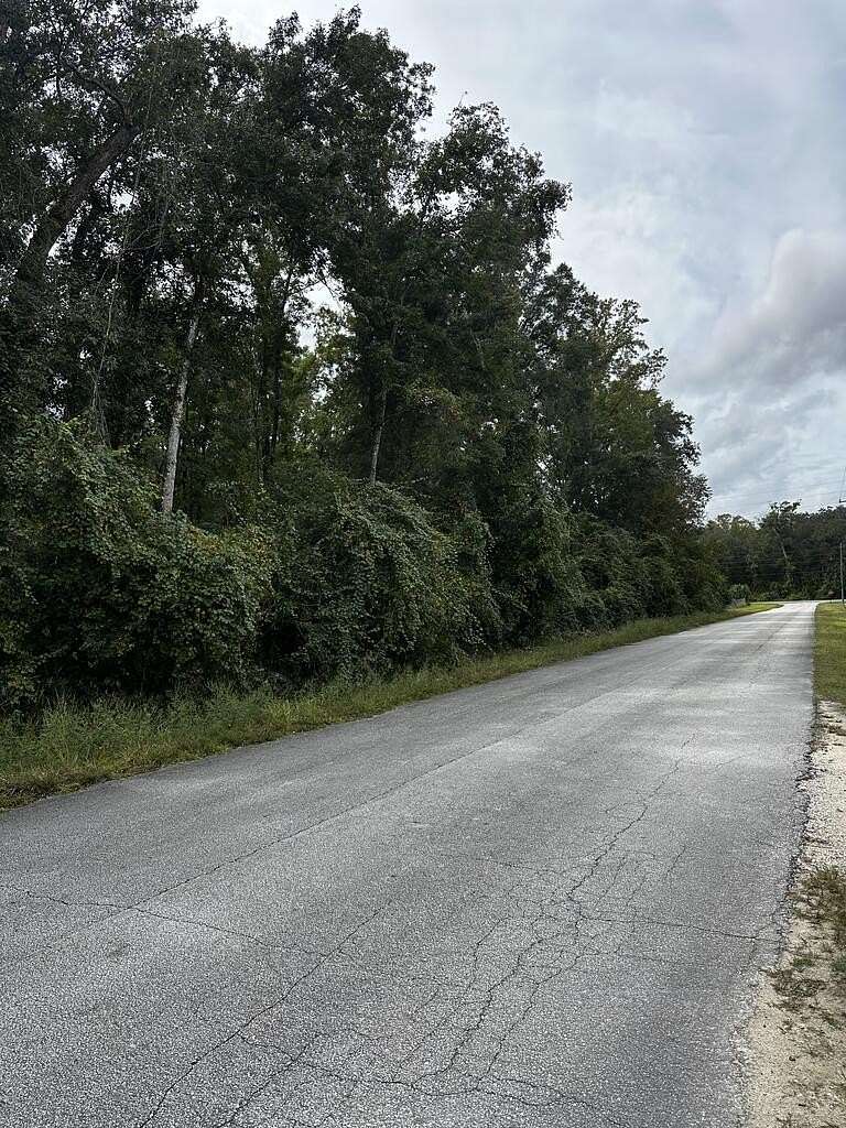 2 Acres of Commercial Land for Sale in Old Town, Florida