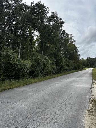 2 Acres of Commercial Land for Sale in Old Town, Florida